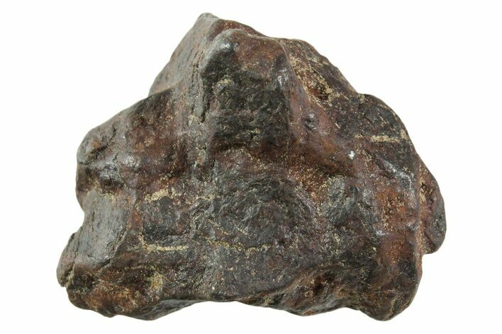 Canyon Diablo Iron Meteorite ( g) - Arizona #356122